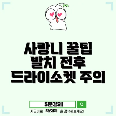 사랑니 발치 알아야 할 모든 것: 언제