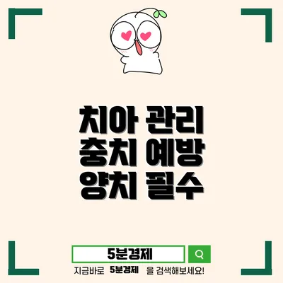 치아 건강을 위한 필수품