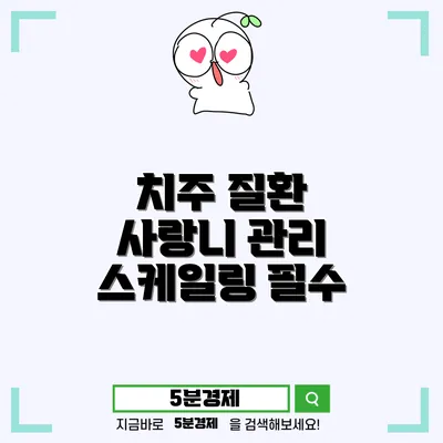 치아 건강을 지키는 치주질환 이해와 예방 방법