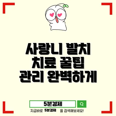 거제시 수양동 사랑니, 발치와 관리의 모든 것