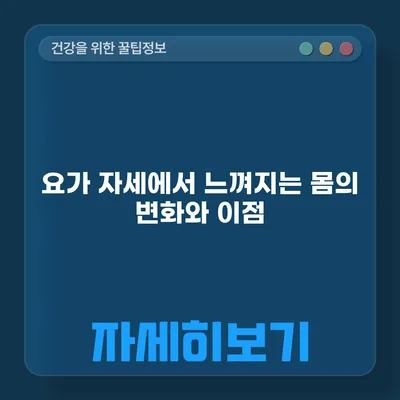 요가 자세에서 느껴지는 몸의 변화와 이점