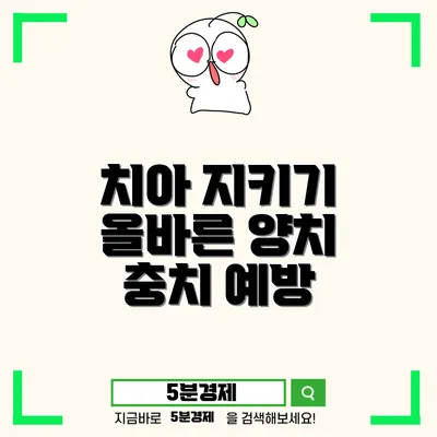 성동구 사근동 어린이 치아관리: 올바른 양치질과 습관의 중요성